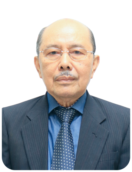 Prof. Dr. Amir Luthfi