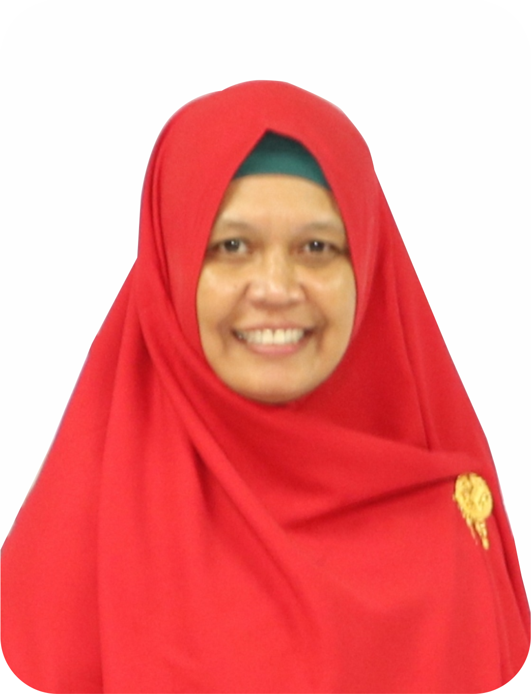 Prof. Dr. Dra. Ida Yustina, M.Si