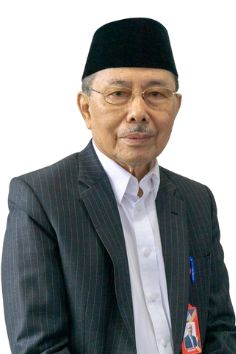 Prof. Dr. Amir Luthfi