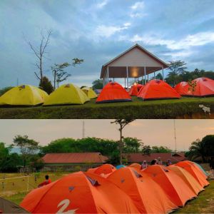 Scout Camp Di Kebun Raya Universitas Pahlawan Di Ikuti Oleh Mahasiswa Dari Berbagai Provinsi