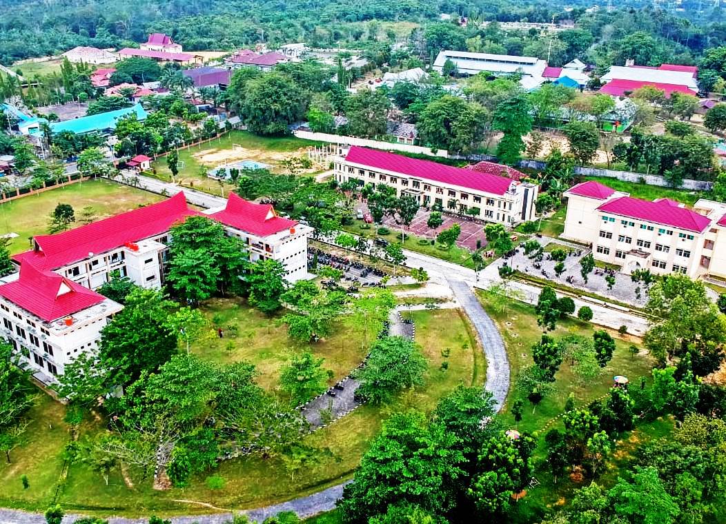 Universitas Pahlawan Bangun Playground Bernuansa Alam di Bangkinang, Jadi Destinasi Edukasi Anak Usia Dini